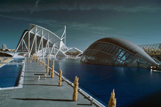 Ciudad de las Artes y las Ciencias, Valencia - Ed Watts Studio