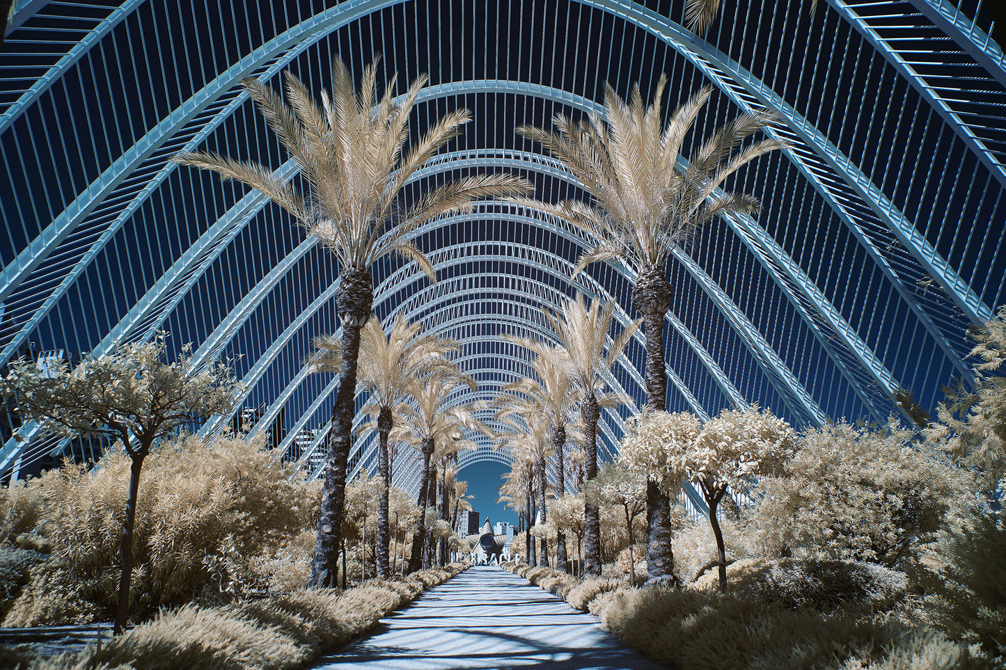 L'Umbracle Valencia - Ed Watts Studio