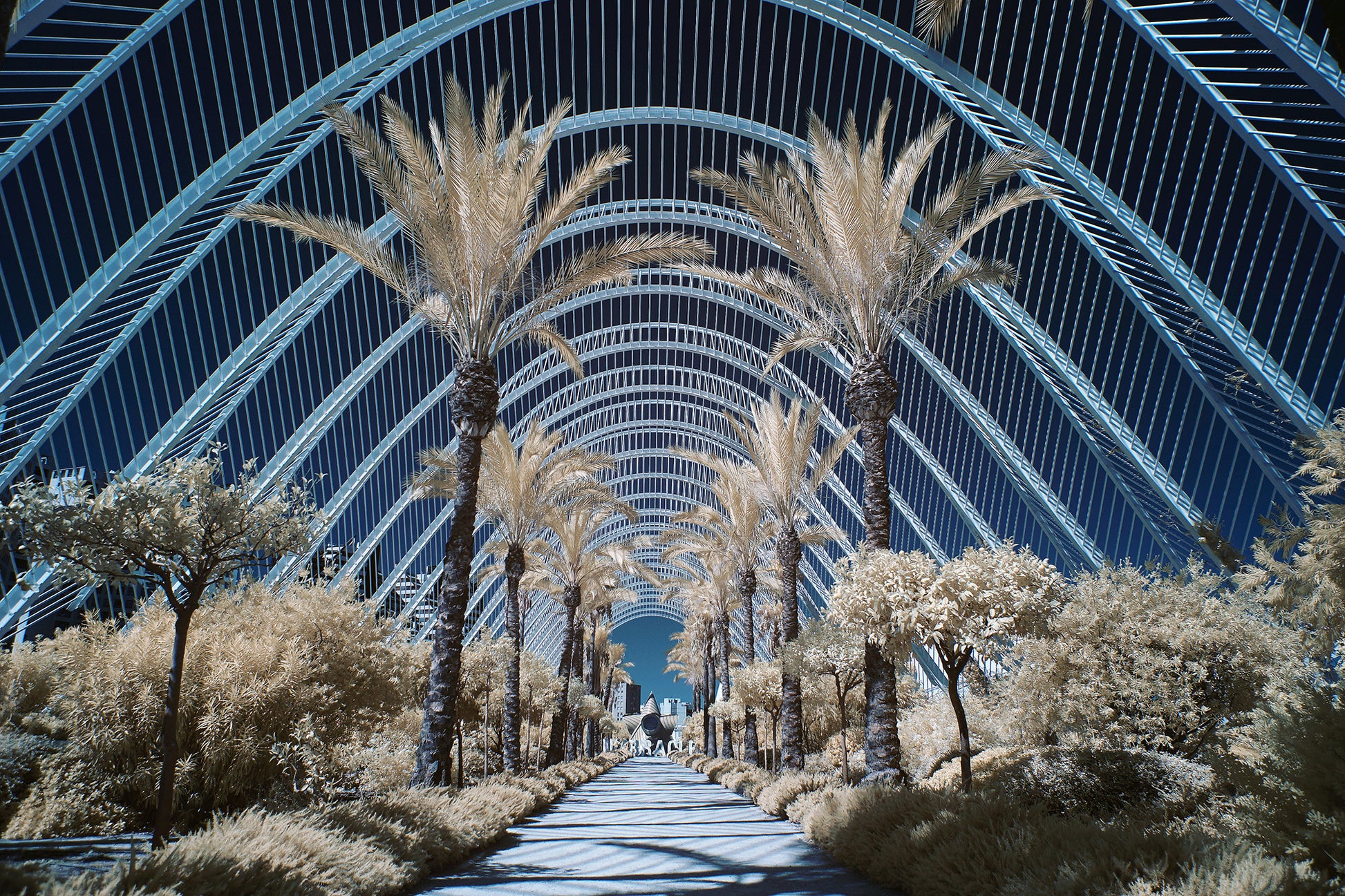 L'Umbracle Valencia - Ed Watts Studio