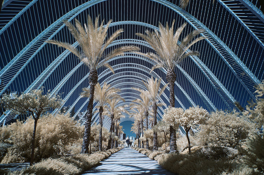 L'Umbracle Valencia - Ed Watts Studio