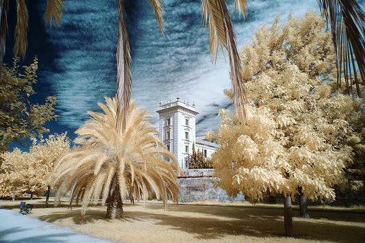 Museu de Belles Arts de Valencia - Ed Watts Studio
