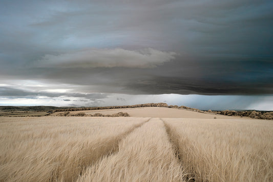 After The Storm. - Ed Watts Studio