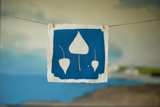 Poplar Leaves Cyanotype Print - Ed Watts Studio