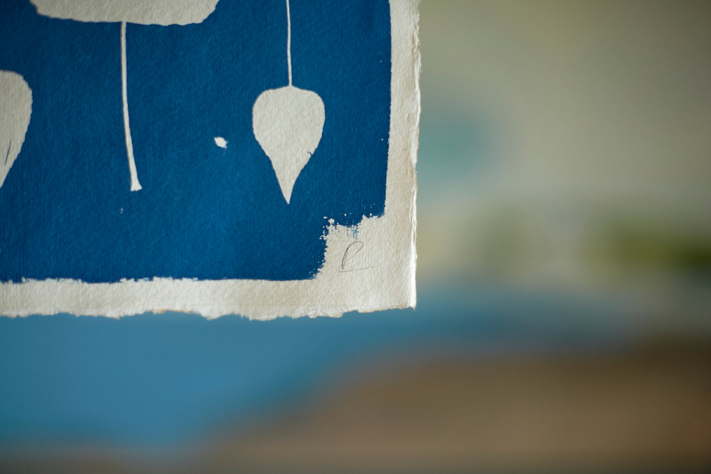 Poplar Leaves Cyanotype Print - Ed Watts Studio