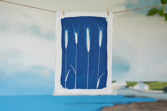 Wall Barley Cyanotype A4 Print - Ed Watts Studio