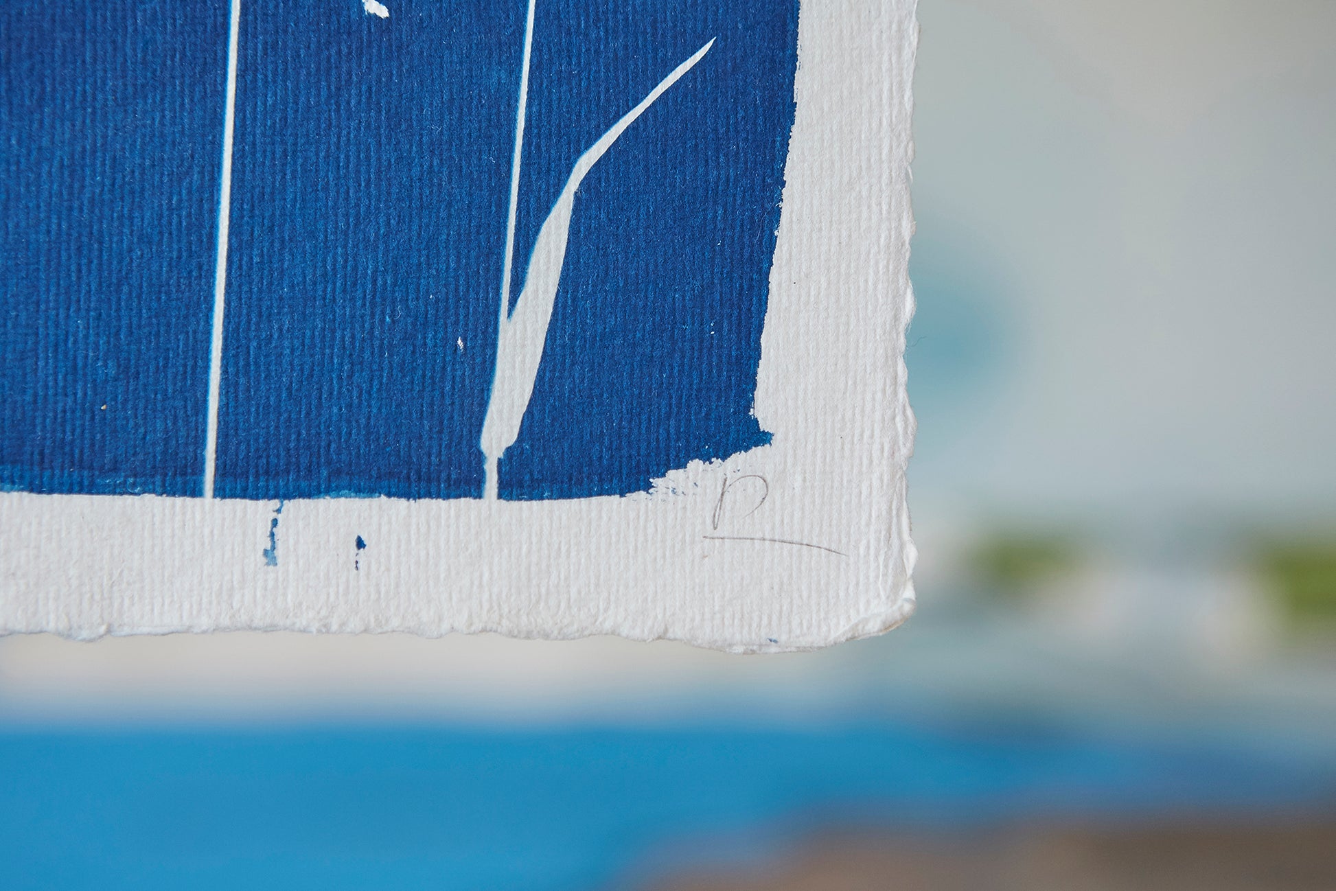 Wall Barley Cyanotype A4 Print - Ed Watts Studio