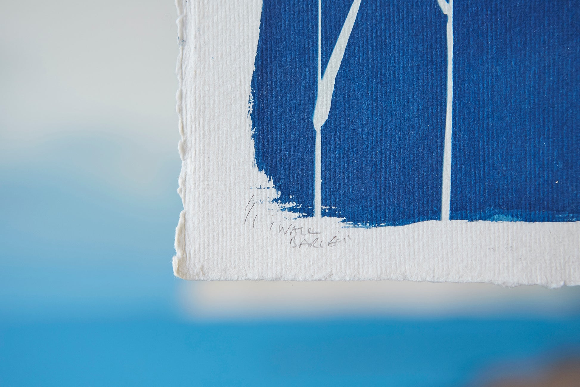 Wall Barley Cyanotype A4 Print - Ed Watts Studio
