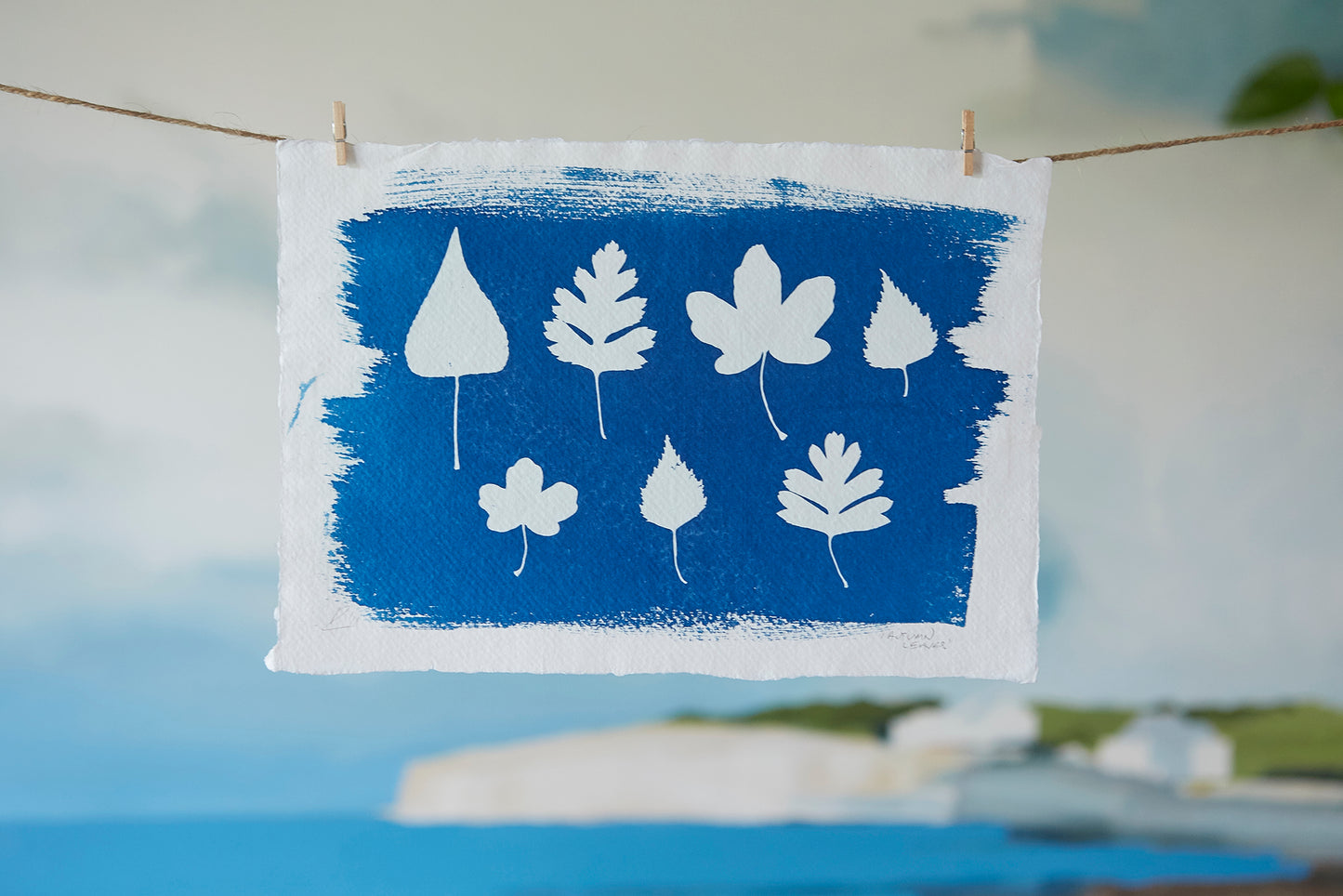 'Autumn Leaves' Cyanotype A4 Print - Ed Watts Studio