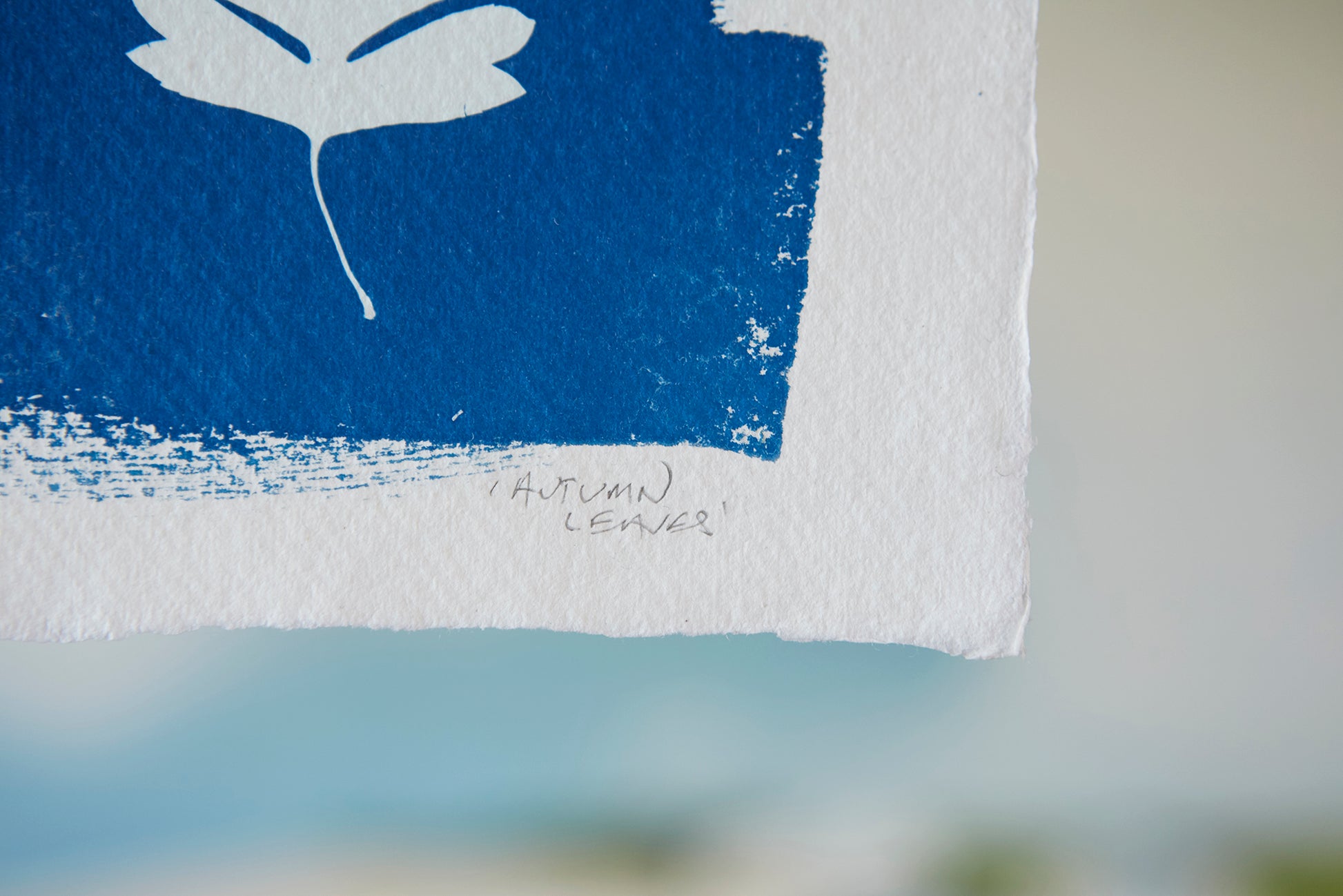 'Autumn Leaves' Cyanotype A4 Print - Ed Watts Studio