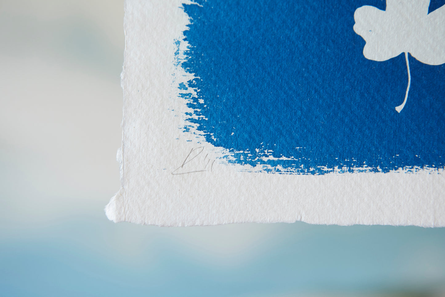 'Autumn Leaves' Cyanotype A4 Print - Ed Watts Studio