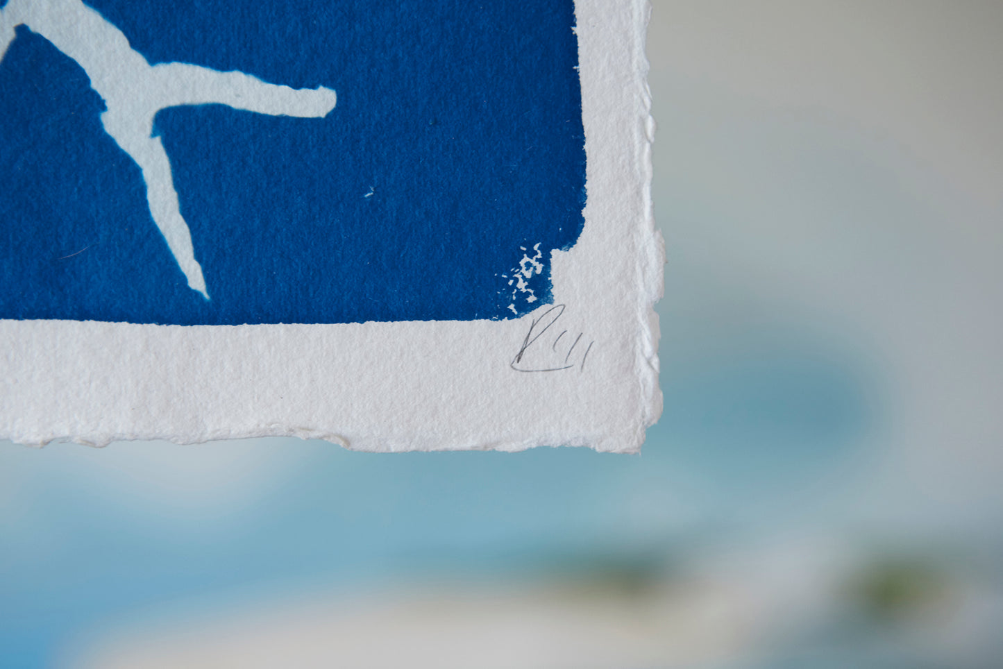 'Up, Up and Away #2' Cyanotype Print - Ed Watts Studio