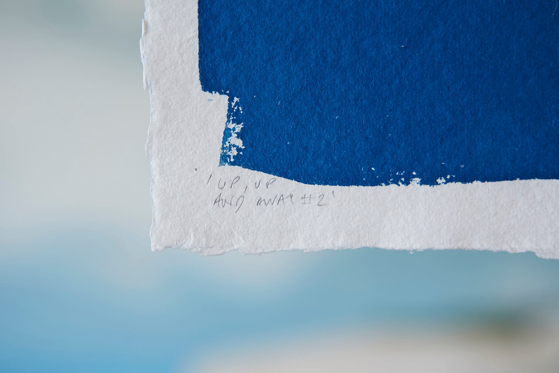 'Up, Up and Away #2' Cyanotype Print - Ed Watts Studio