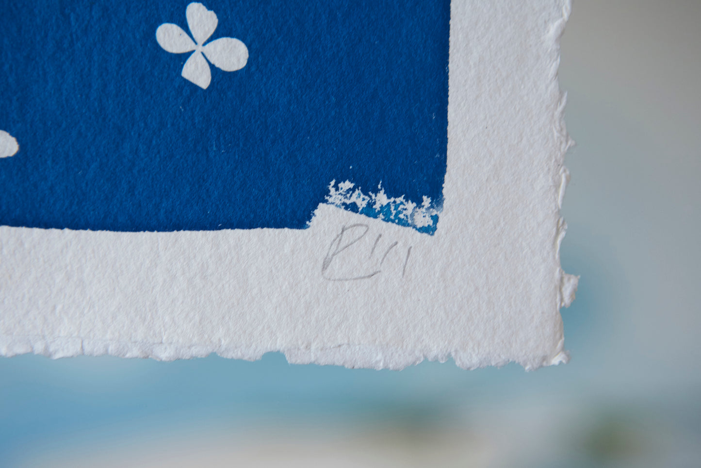 'Petals' Cyanotype Print - Ed Watts Studio