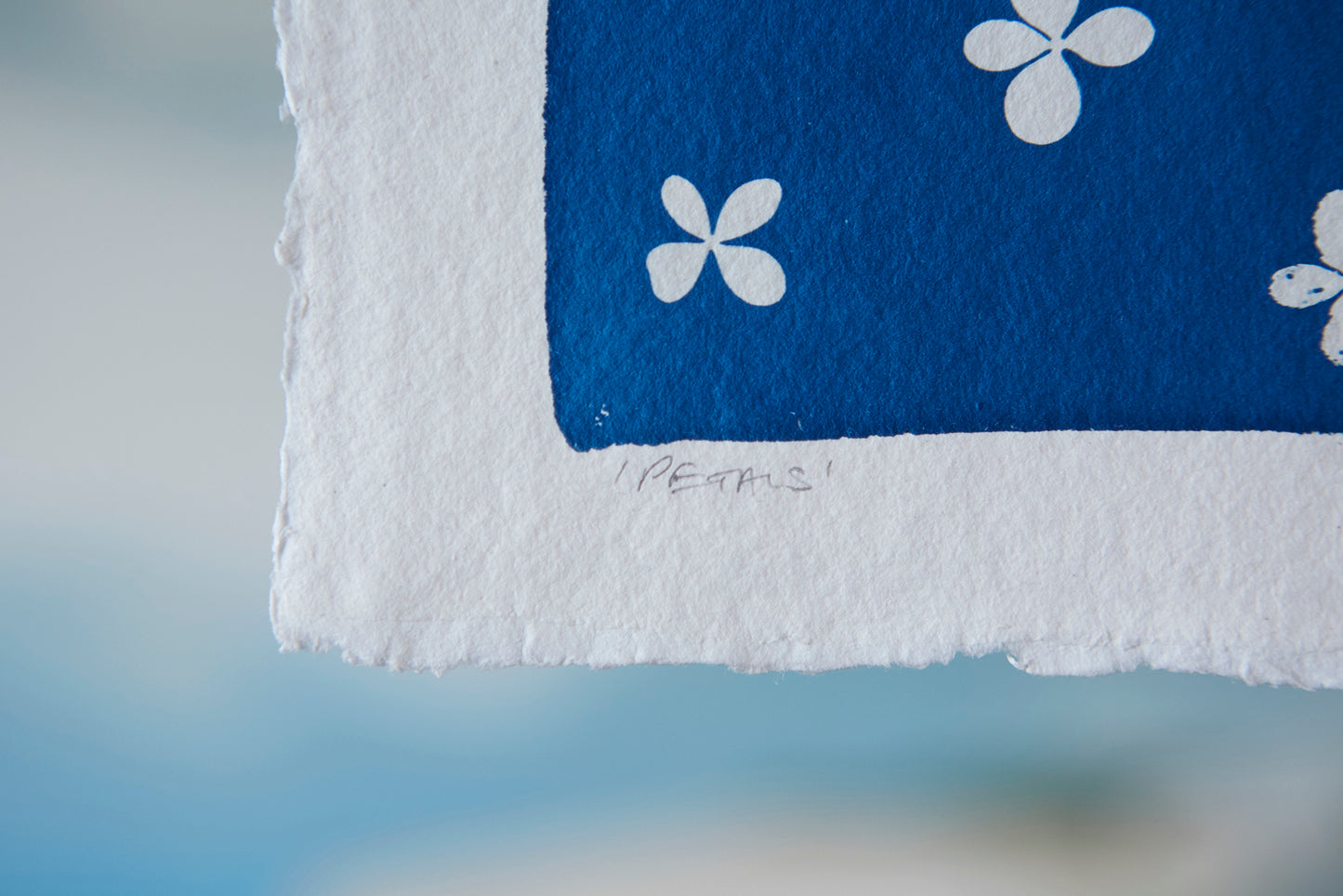 'Petals' Cyanotype Print - Ed Watts Studio