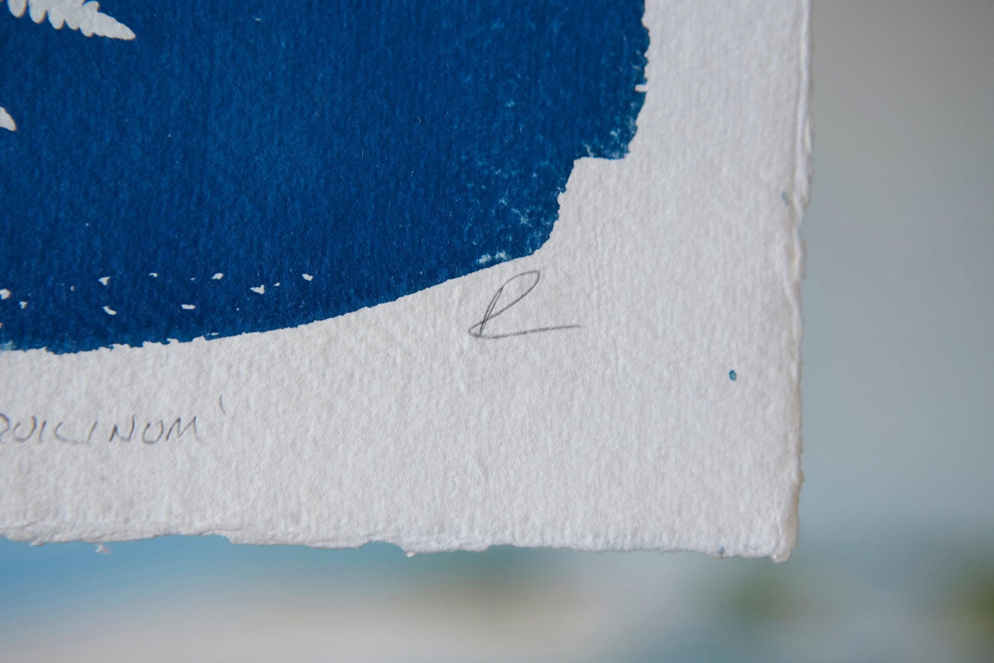 'Pteridium Aquililnum' Cyanotype Print - Ed Watts Studio