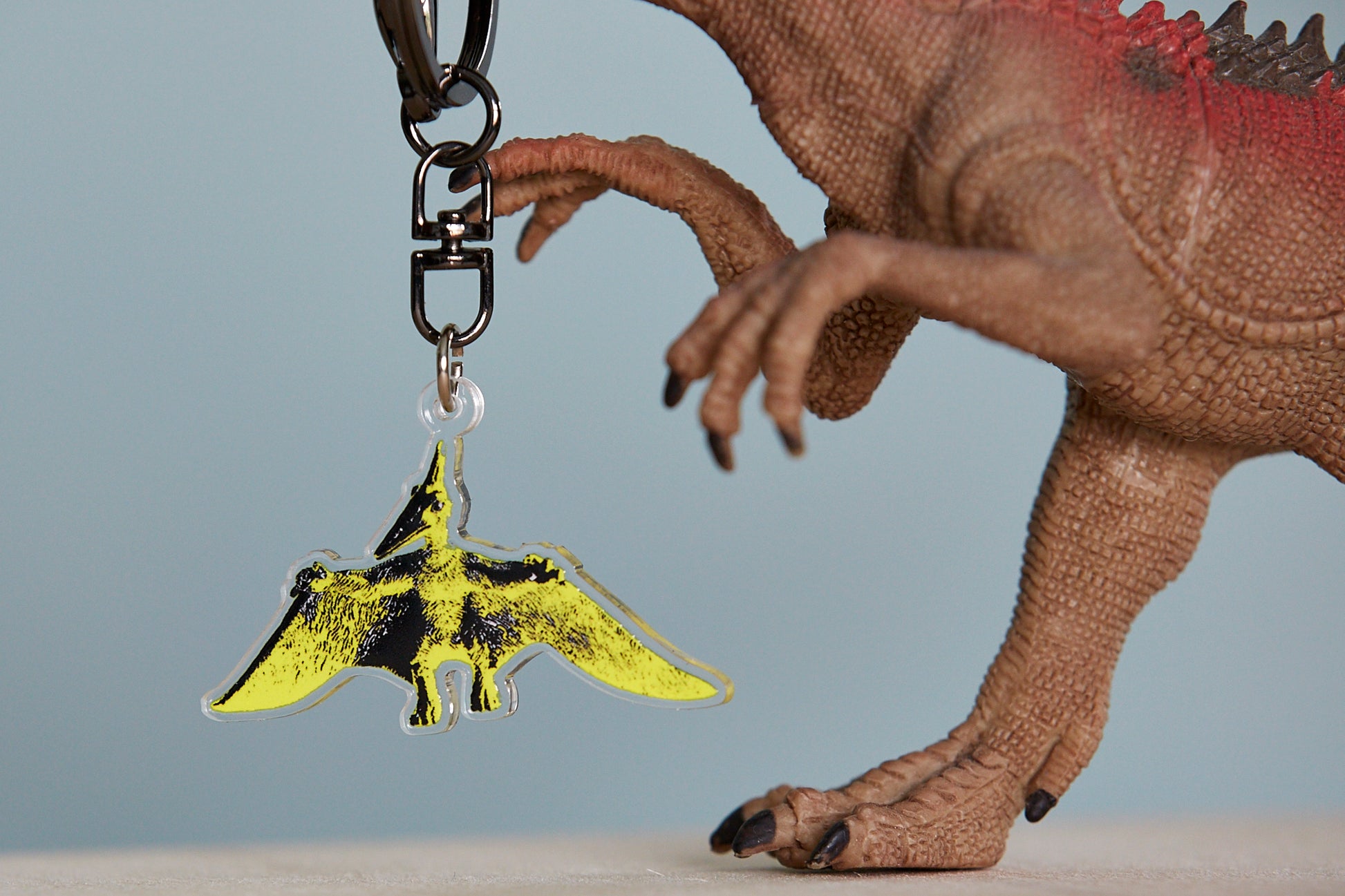 Pterry Keyring - Ed Watts Studio