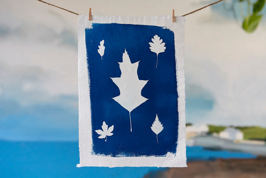 'Untitled' Cyanotype A4 Print - Ed Watts Studio
