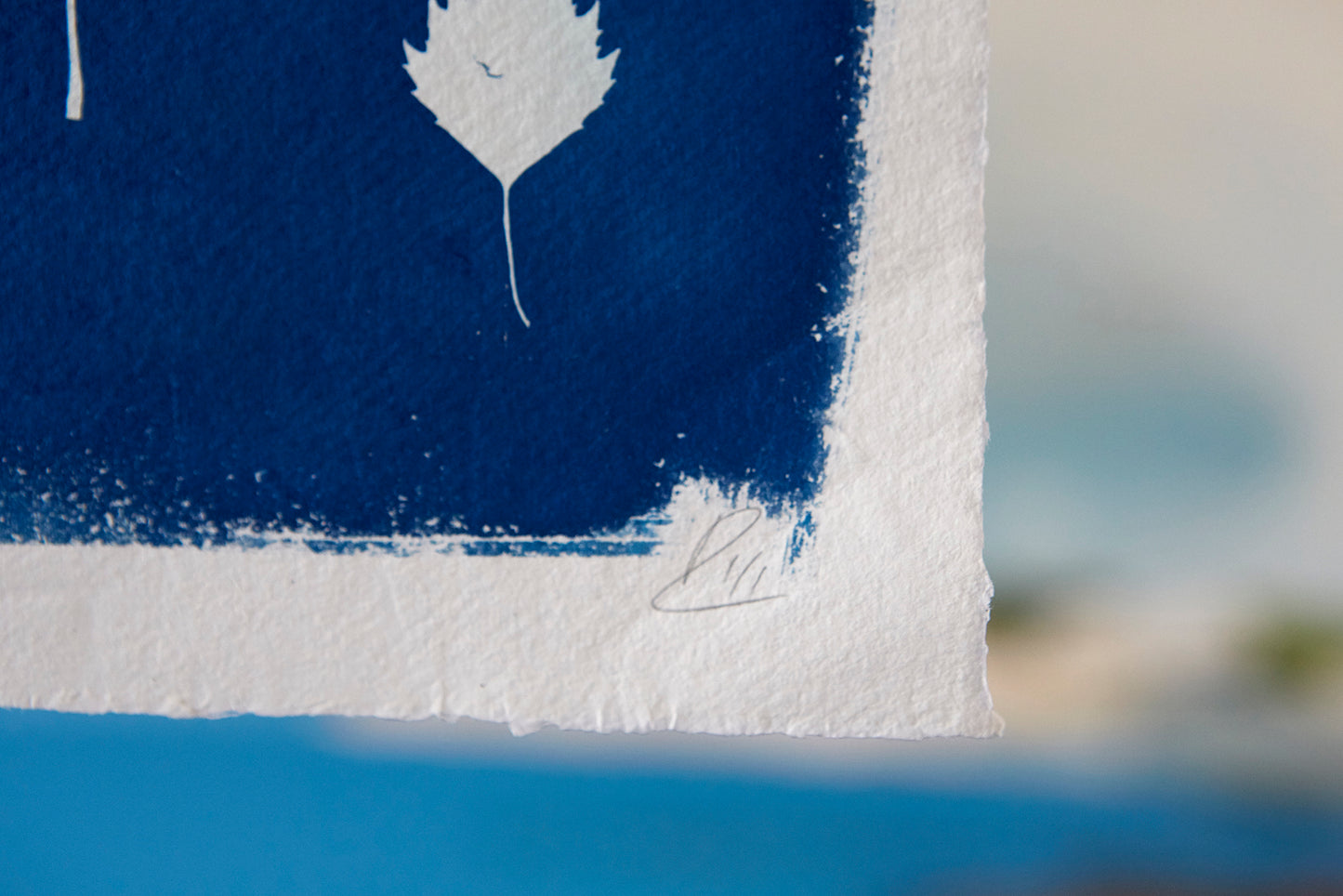 'Untitled' Cyanotype A4 Print - Ed Watts Studio