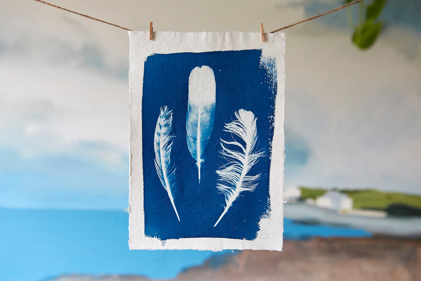 'Untitled' Cyanotype A4 Print - Ed Watts Studio