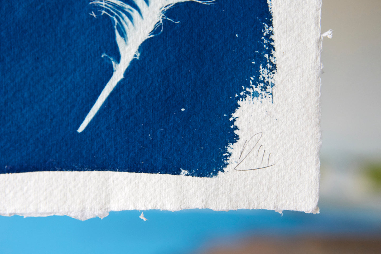 'Untitled' Cyanotype A4 Print - Ed Watts Studio