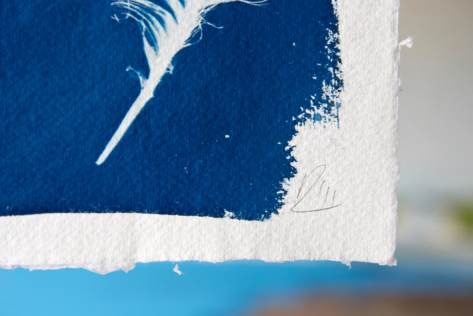 'Untitled' Cyanotype A4 Print - Ed Watts Studio