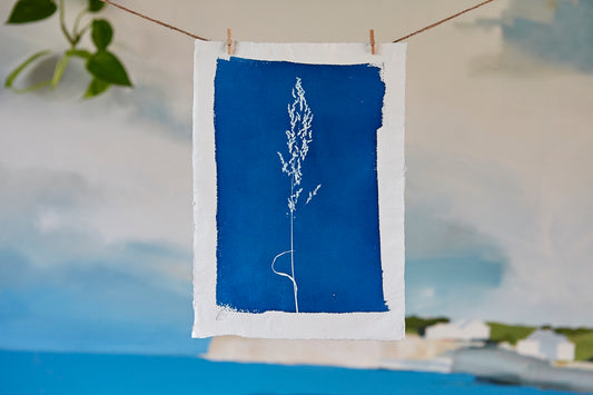 'Untitled' Cyanotype A4 Print - Ed Watts Studio