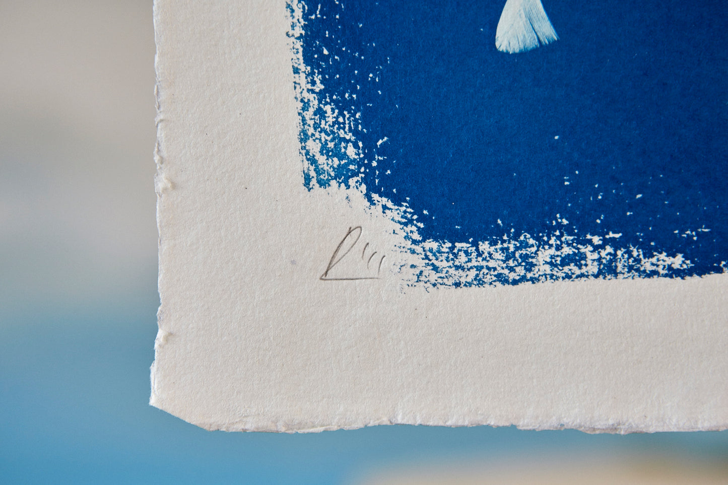 'Untitled' Cyanotype A4 Print - Ed Watts Studio