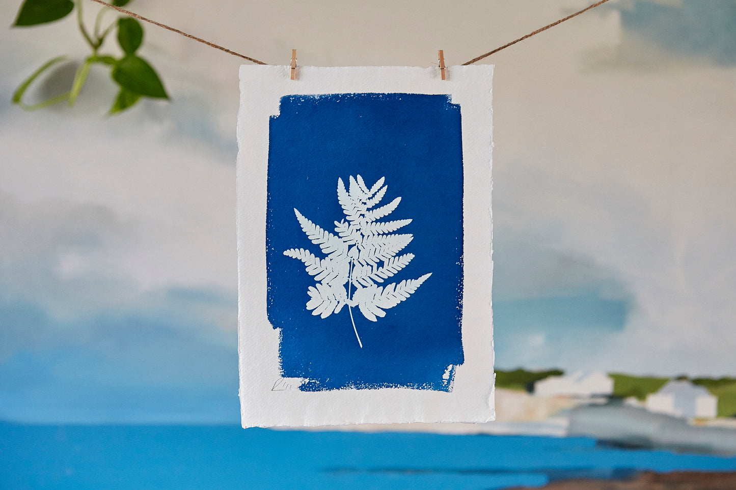 'Untitled' Cyanotype A4 Print - Ed Watts Studio