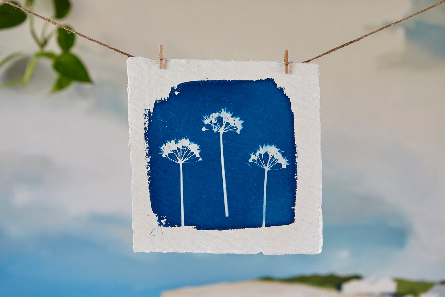 'Untitled' Cyanotype Print - Ed Watts Studio