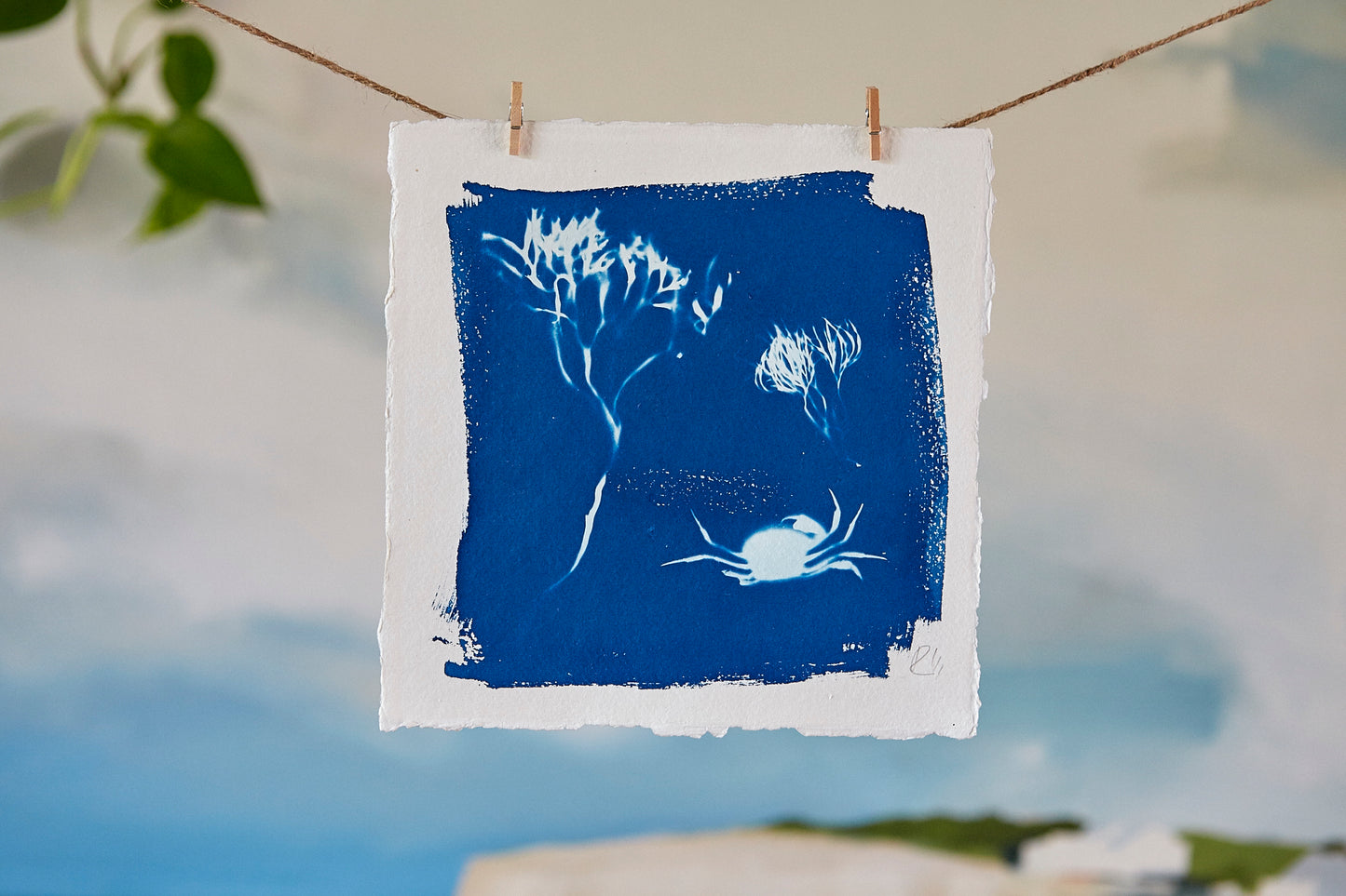 'Untitled' Cyanotype Print - Ed Watts Studio