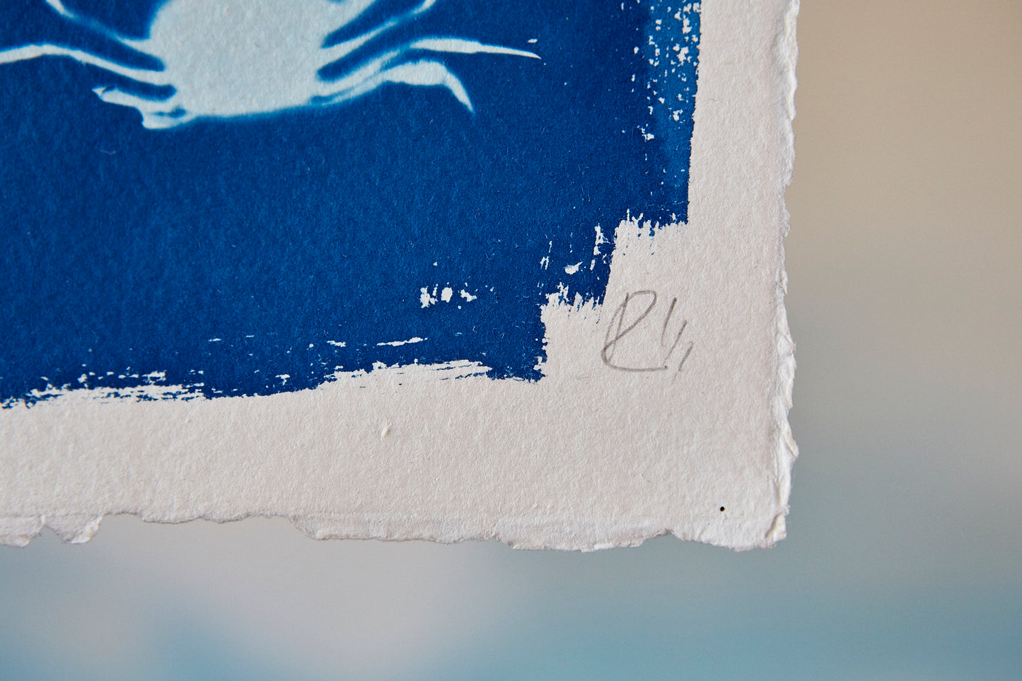 'Untitled' Cyanotype Print - Ed Watts Studio