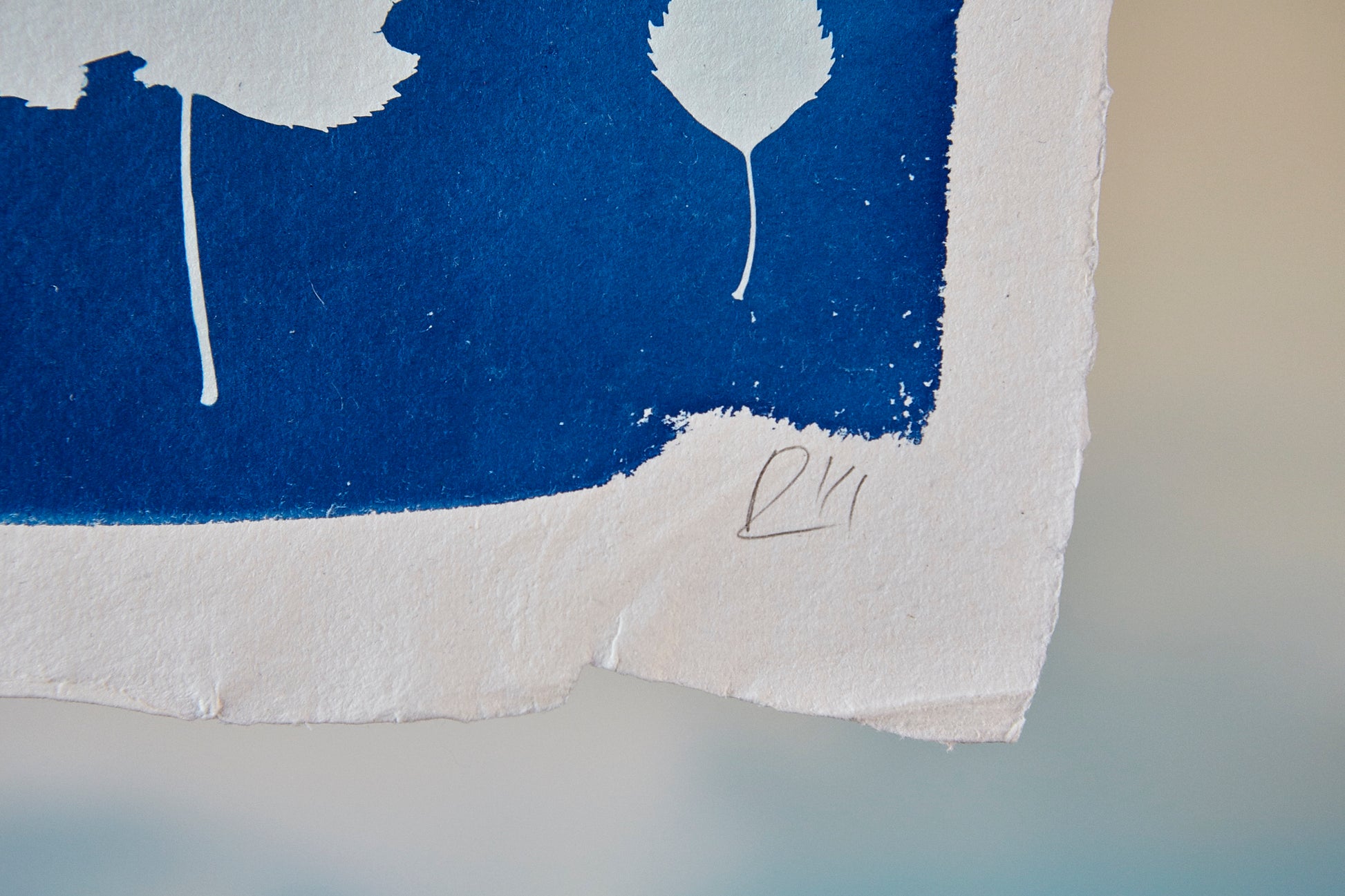 'Untitled'  Cyanotype Print - Ed Watts Studio