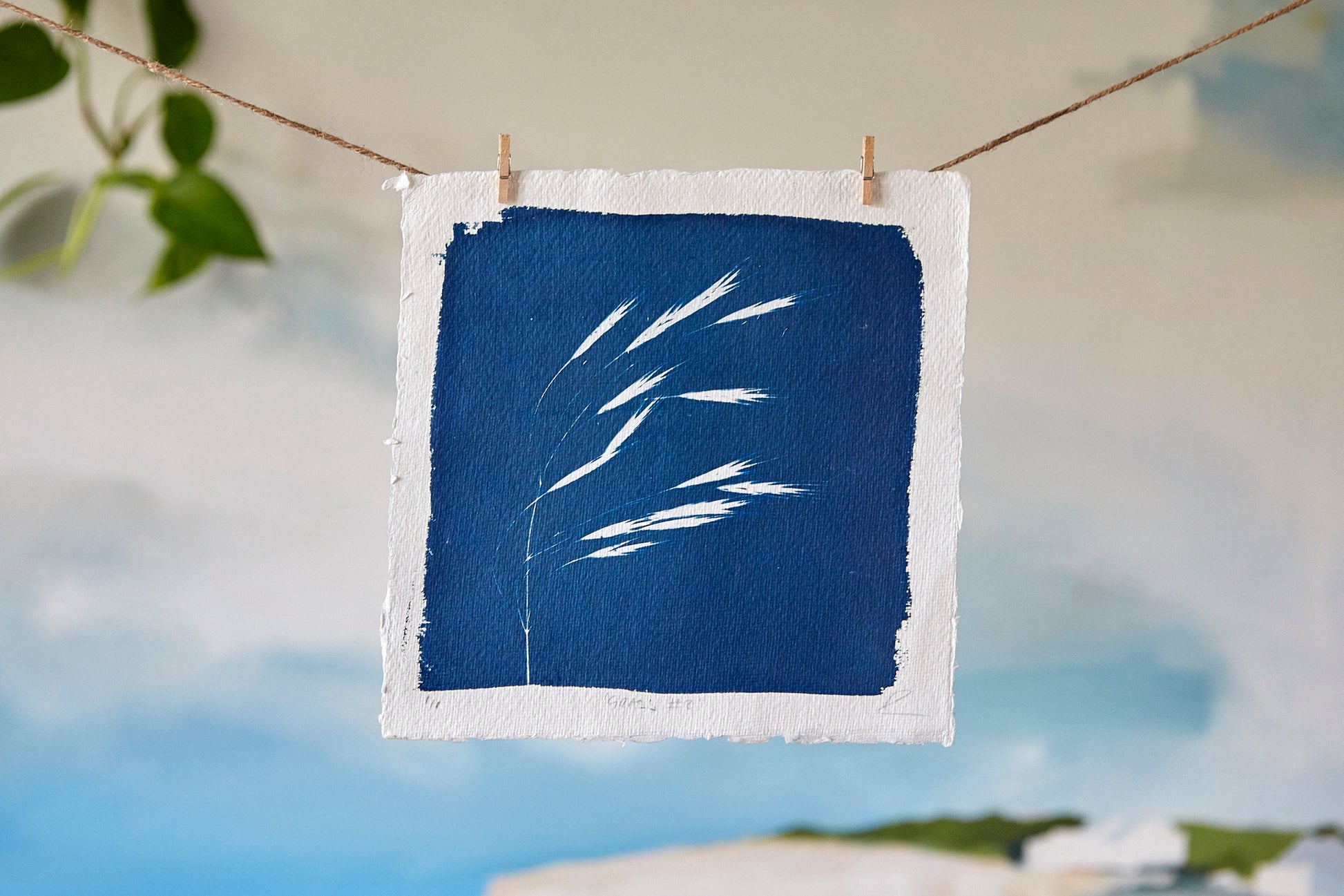 'Grass #2' Cyanotype Print - Ed Watts Studio