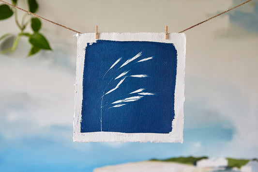 'Grass #2' Cyanotype Print - Ed Watts Studio