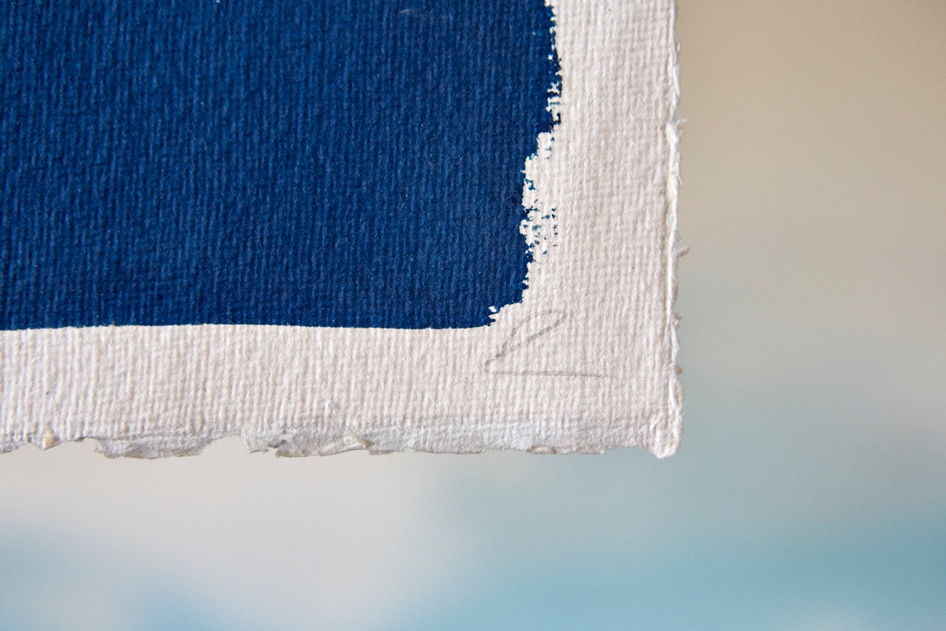 'Grass #2' Cyanotype Print - Ed Watts Studio