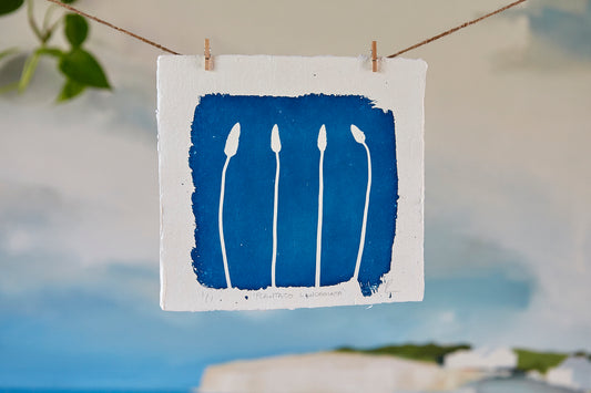'Plantago lanceolata' Cyanotype Print - Ed Watts Studio