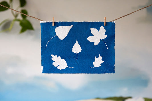 'Untitled' Cyanotype A5 Print - Ed Watts Studio