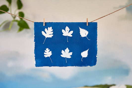 'Untitled' Cyanotype A5 Print - Ed Watts Studio