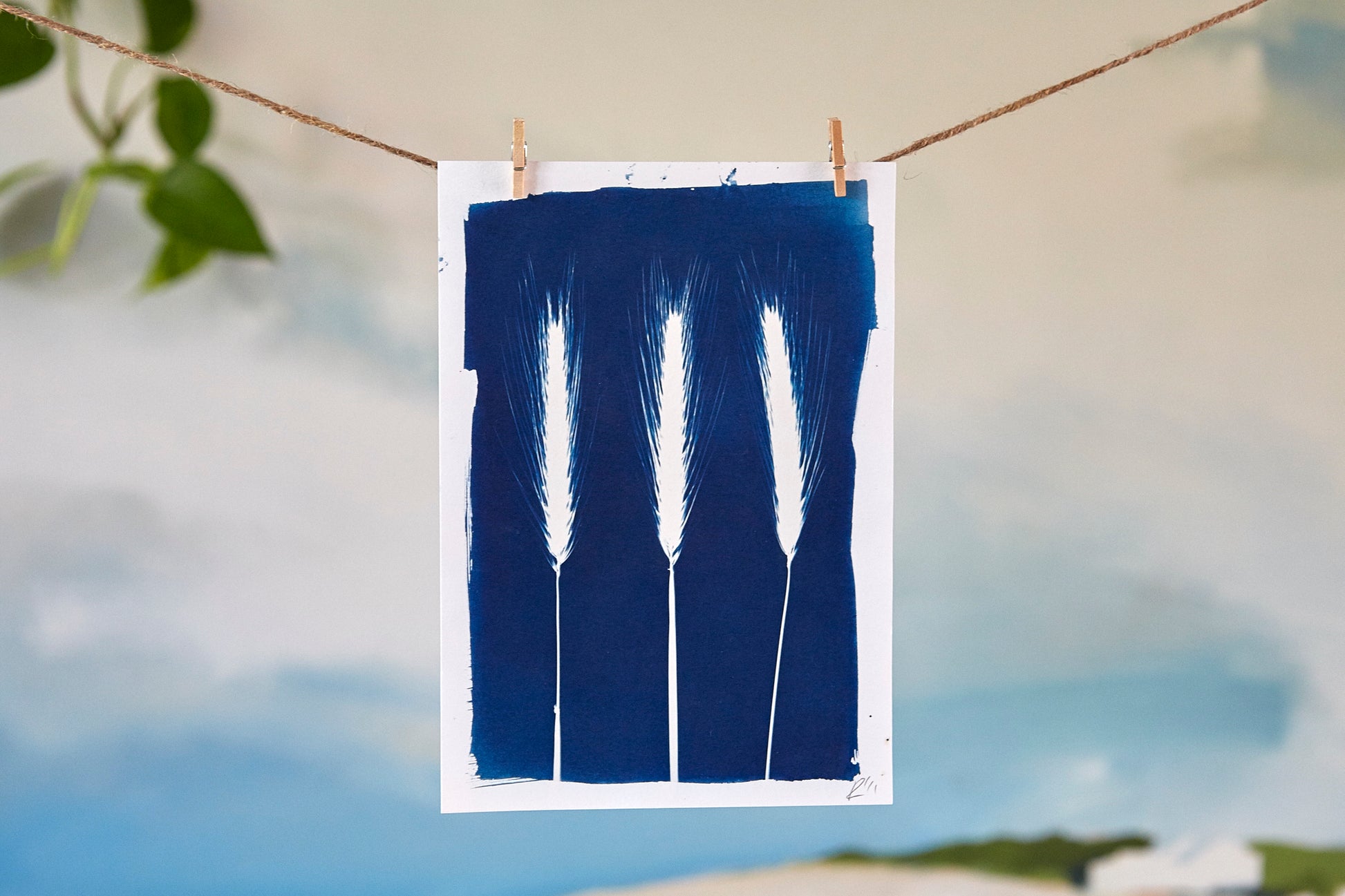 'Untitled' Cyanotype A5 Print - Ed Watts Studio