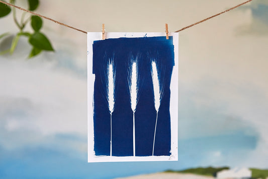 'Untitled' Cyanotype A5 Print - Ed Watts Studio