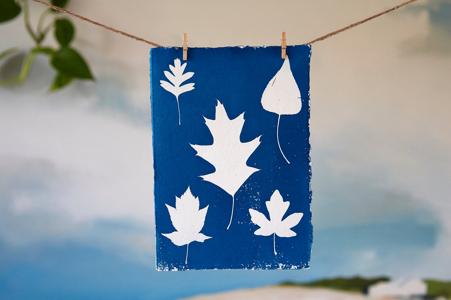 'Untitled' Cyanotype A5 Print - Ed Watts Studio