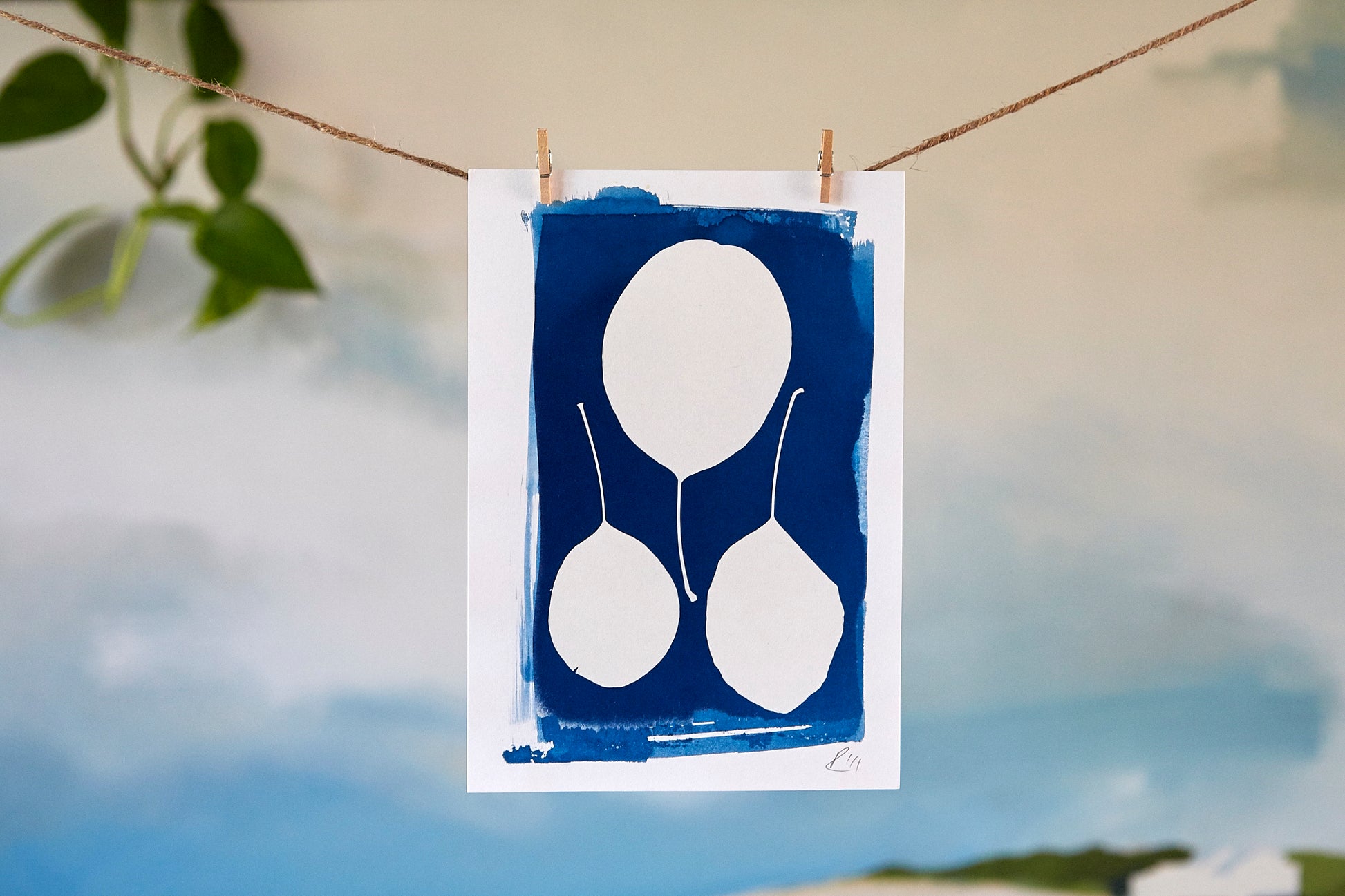 'Untitled' Cyanotype A5 Print - Ed Watts Studio