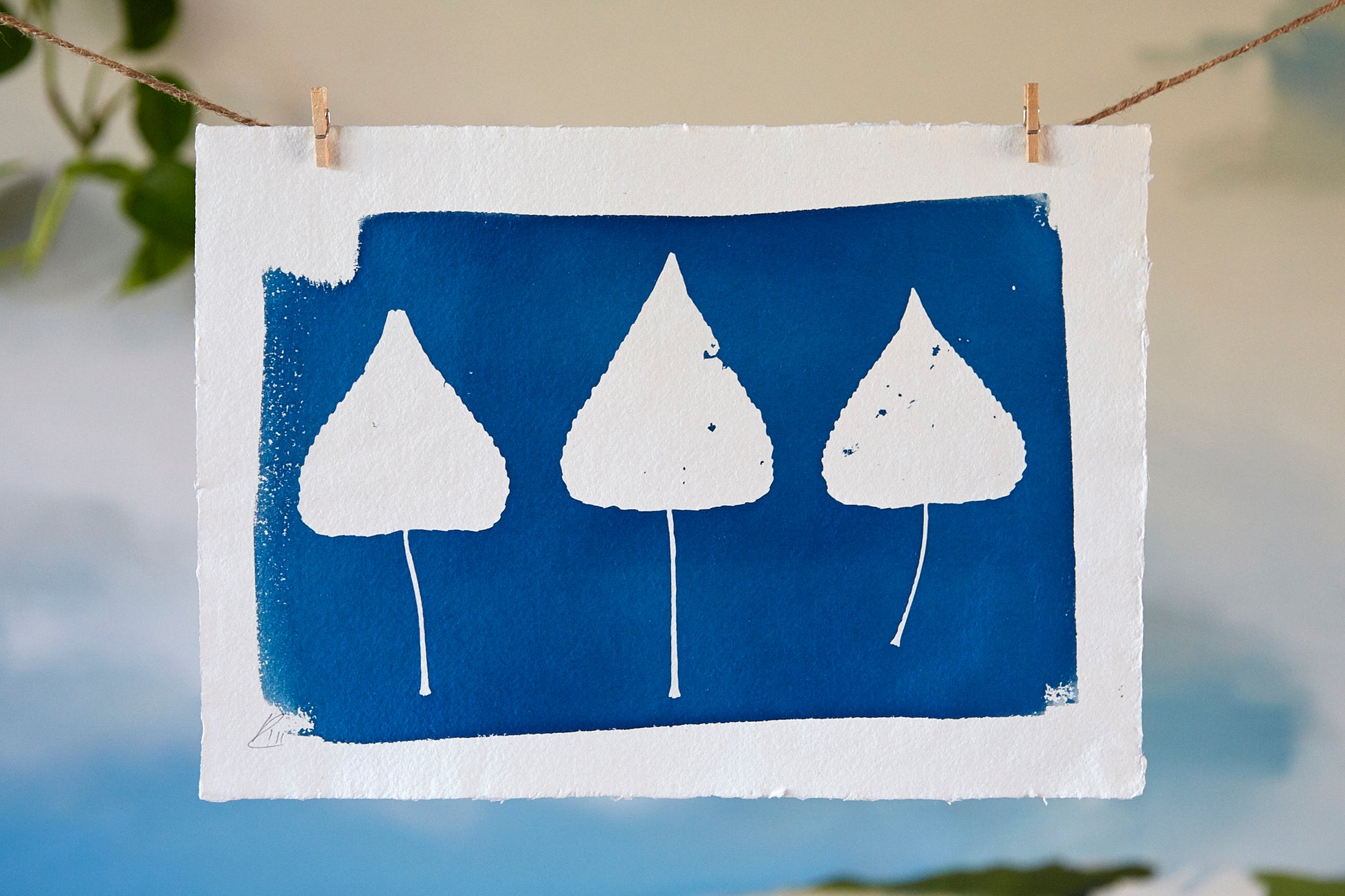 'Untitled' Cyanotype A4 Print - Ed Watts Studio