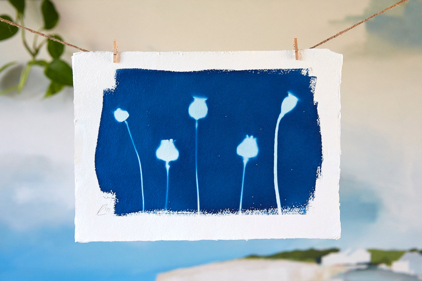 'Untitled' Cyanotype A4 Print - Ed Watts Studio