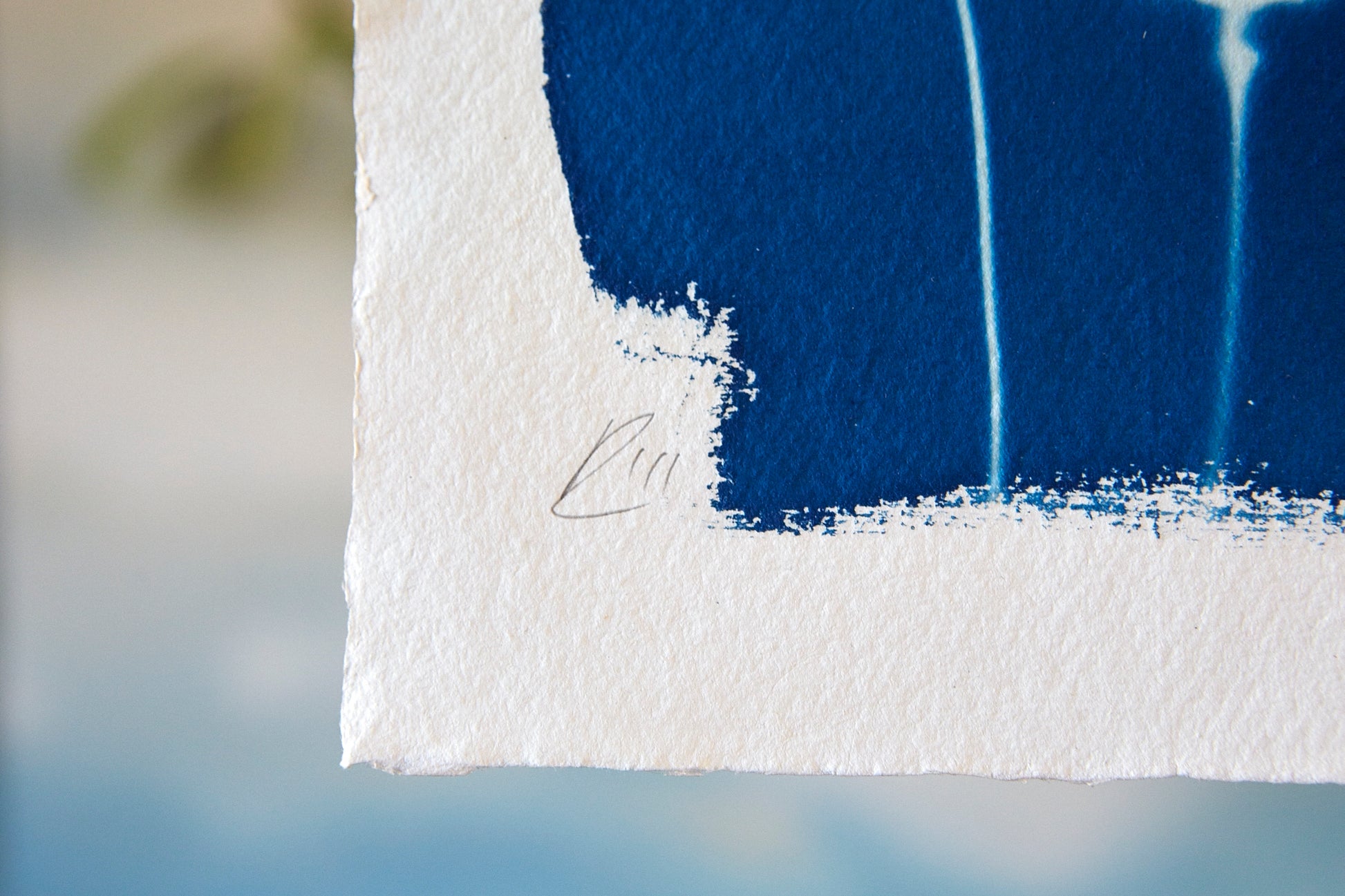 'Untitled' Cyanotype A4 Print - Ed Watts Studio