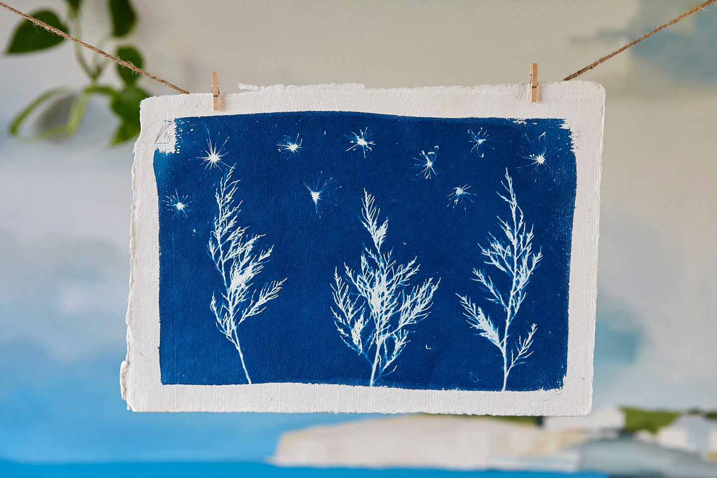 'Untitled' Cyanotype A4 Print - Ed Watts Studio