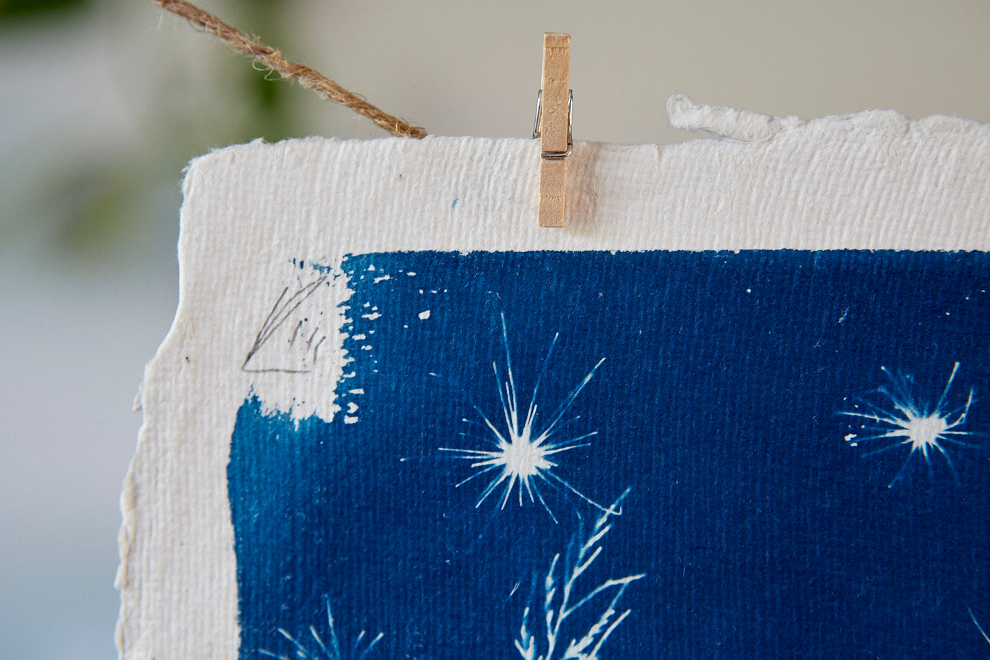 'Untitled' Cyanotype A4 Print - Ed Watts Studio