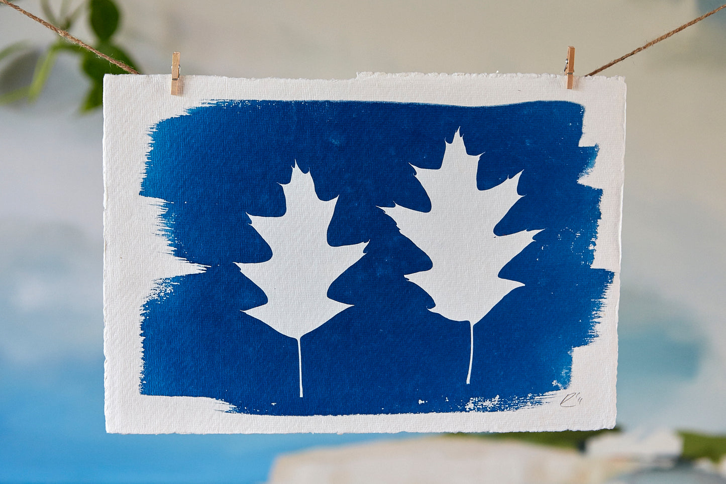 'Untitled' Cyanotype A4 Print - Ed Watts Studio