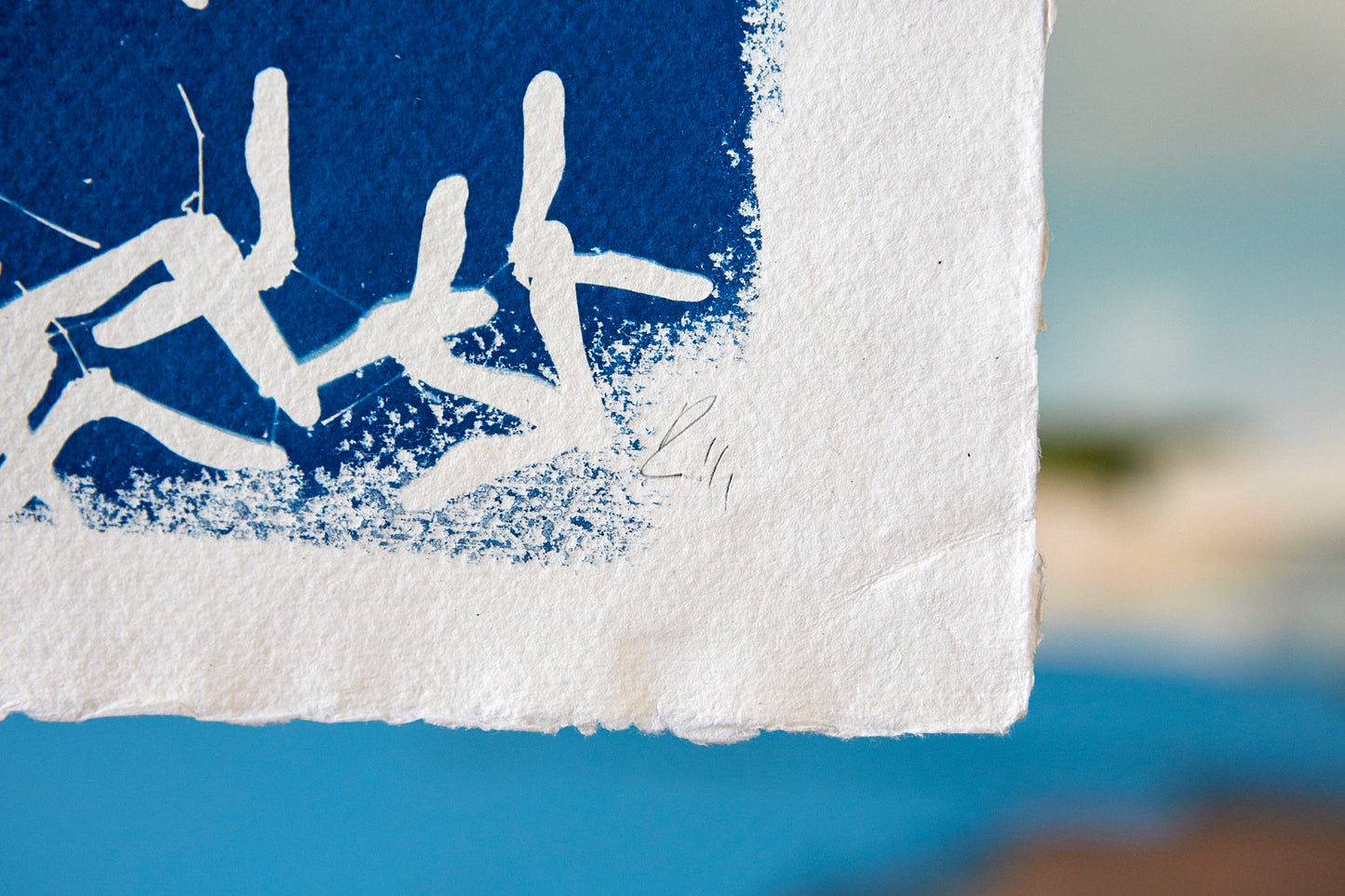 'Untitled' Cyanotype A3 Print - Ed Watts Studio