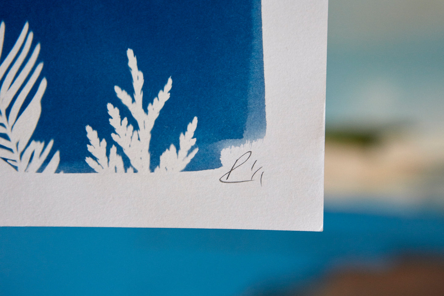 'Up, Up and Away!' Cyanotype A3 Print - Ed Watts Studio